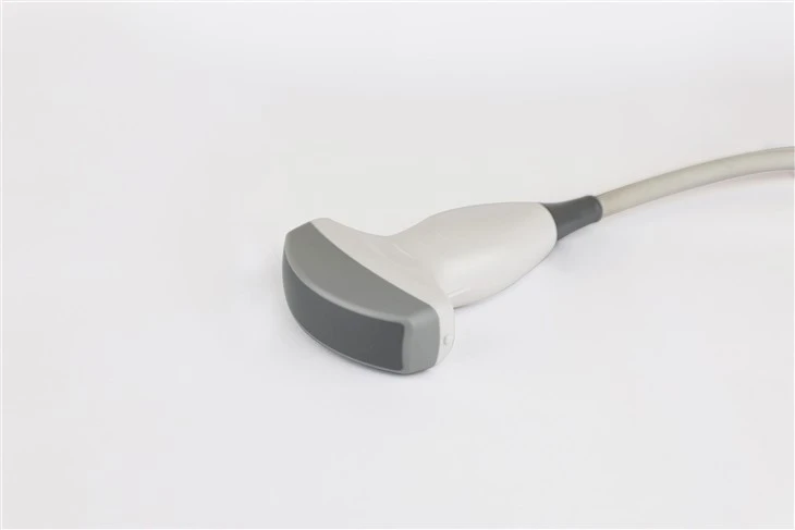 Convex Array Probe